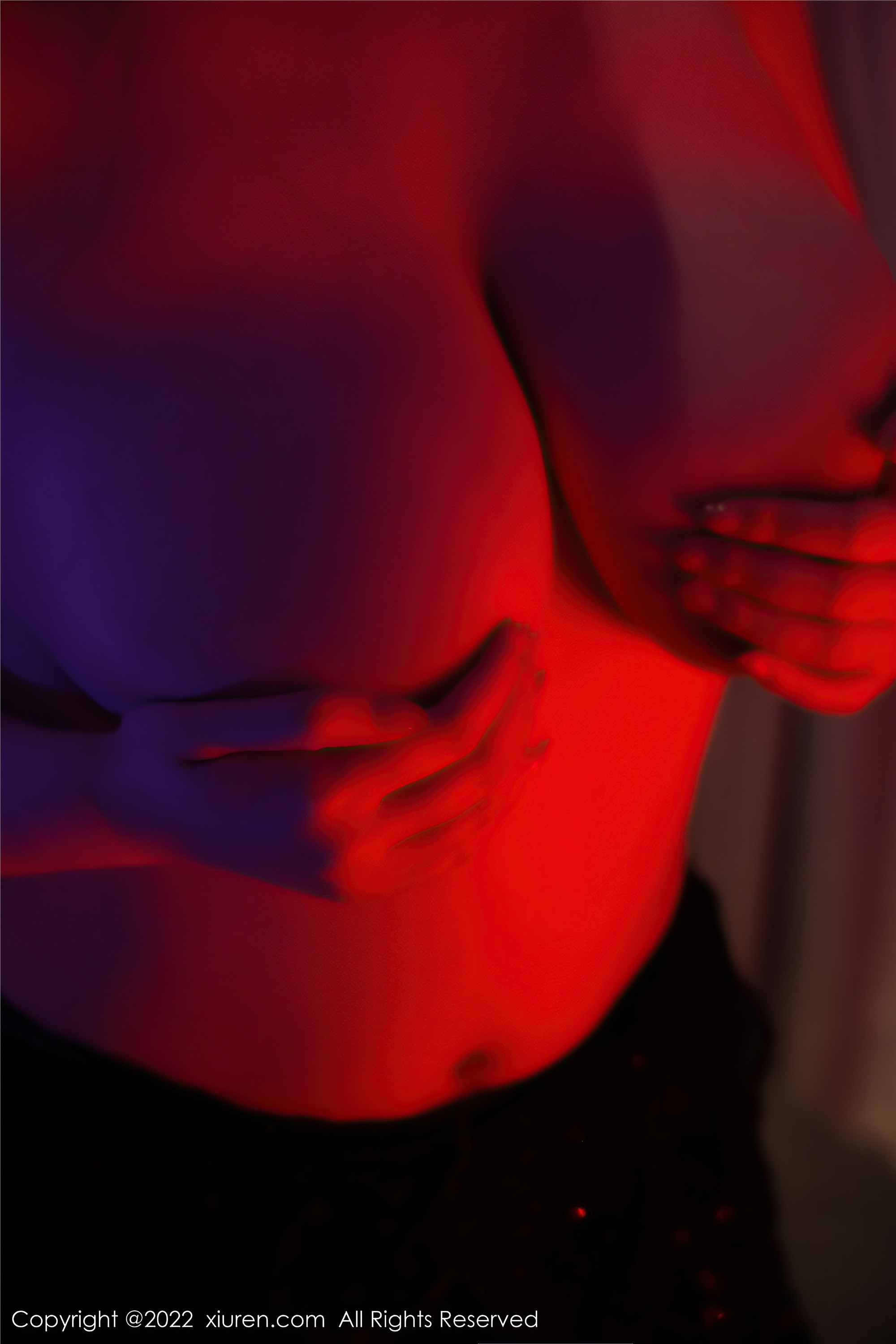 Xiuren秀人网 2022.05.09 NO.4982 王俪丁小宝贝